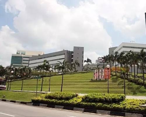 新加坡国立大学录取！