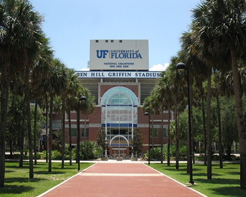佛罗里达大学录取！
